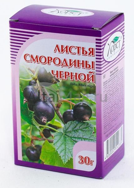 Изображение товара Смородина черная (листья) Хорст 30г Смородина черная (листья) Хорст 30г фотография